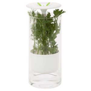 Glass Herb Preserver  |  Kitchen Canisters Kitchen Canisters Kitchen Canisters