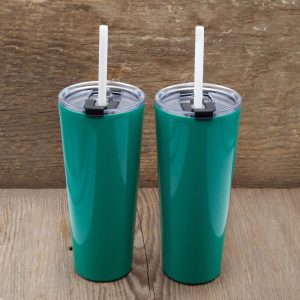 Silversmiths Set of 2 -24oz Insulated Straw Tumblers – 24 ounce  |  Drinking Glasses Dinnerware Blue, Multi, Pink