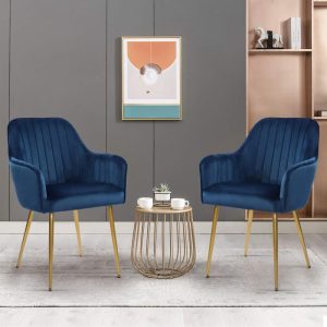 Velvet Accent Dining Chairs with Gold Metal Legs Set of 2  |  Kitchen and Dining Chairs Kitchen & Dining Chairs Blue, Grey, Pink