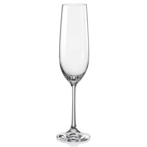 Viola Fluted Champagne Glass 6.5oz Set/6 (Set of 6)  |  Wine Glasses Dinnerware Clear